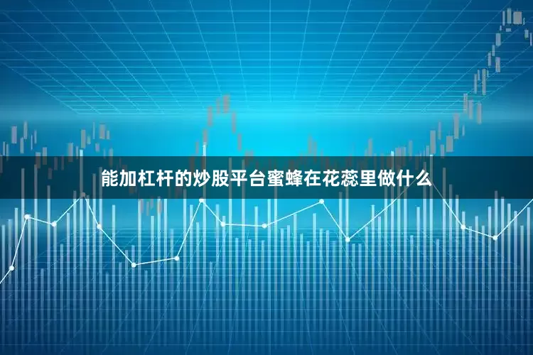 能加杠杆的炒股平台蜜蜂在花蕊里做什么