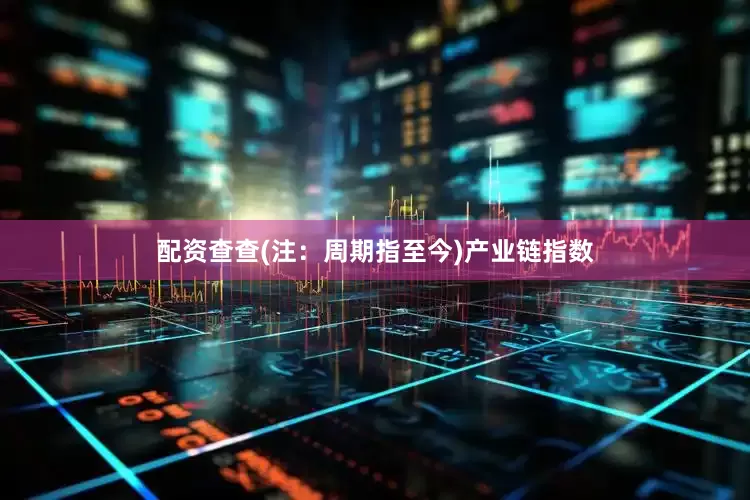 配资查查(注：周期指至今)　　产业链指数